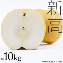 【 2025年9月下旬発送開始 】 新高梨 約 10kg ( 茨城県共通返礼品 / 石岡市 ) 新高 梨 フルーツ 果物 なし ナシ 新鮮 旬 期間限定 甘い 国産 [EY003sa]