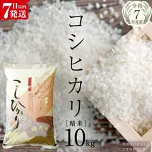 【令和7年産】 コシヒカリ 精米10kg（10kg×1袋）（茨城県共通返礼品 かすみがうら市産） 新米 米 ごはん もっちり 甘い コメ お米 白米 銘柄米[EX002sa]