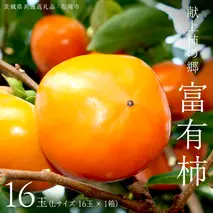 献上柿の郷 富有柿 16玉 ( Lサイズ 16玉 × 1箱 ) ( 茨城県共通返礼品 石岡市 ) 2025年11月中旬発送開始 数量限定 果物 くだもの フルーツ 柿 [EZ001sa]