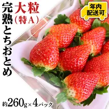 【12/17までの申込で年内にお届け！】完熟 とちおとめ 約260g×4パック 年内お届け 国産 いちご イチゴ 苺 果物 フルーツ 茨城県産 KEK[BC080sa]
