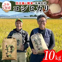 【令和7年】茨城県産 コシヒカリ 10kg 令和7年産 新米 単一原料米 精米 米 お米 コメ 白米 こしひかり 茨城県 [BC083sa]