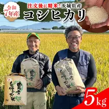 【令和7年】茨城県産 コシヒカリ 5kg 令和7年産 新米 単一原料米 精米 米 お米 コメ 白米 こしひかり 茨城県 [BC084sa]
