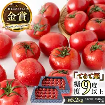 《 テレビで紹介 》【 2026年収穫分 先行予約 】 糖度9度以上 スーパーフルーツトマト てるて姫 大箱 約2.6kg × 2箱 【20〜35玉/1箱】 フルーツトマト ブランドトマト 野菜 ギフト 贈答 青空レストラン アド街ック天国 グッドモーニング 黄金のワンスプーン [BC086sa]