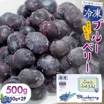 茨城県産 冷凍 ブルーベリー 合計 500g (250g×2袋)【2025年7月中旬から発送開始】 多品種 果実 果物 くだもの フルーツ おやつ ブルーベリー ベリー ジャム 小分け[DZ003sa]