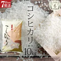 生活応援価格！【令和6年産】 コシヒカリ 精米 10kg ( 10kg × 1袋 ) (茨城県共通返礼品 かすみがうら市) 米 ごはん もっちり 甘い コメ お米 白米 銘柄米 [EX009sa]