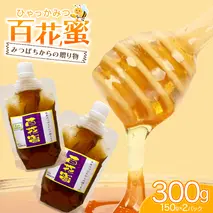 【2025年8月上旬から発送開始】 茨城県桜川市産 「 百花蜜 」合計 300g (150g×2P) 日本みつばち はちみつ ハチミツ 蜜 蜂蜜 パック詰め パック包装 小分け[DZ005sa]