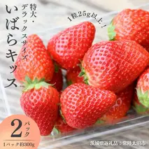 【 2026年 先行予約 】 いばらキッス ( 約300g × 2パック ) 特大 ・ デラックスサイズ （茨城県共通返礼品／常陸太田市） 茨城県品種 2026年1月から発送開始 フルーツ 苺 イチゴ いちご 新鮮 朝採れ 茨城県 桧山FRUITFARM [DY020sa]