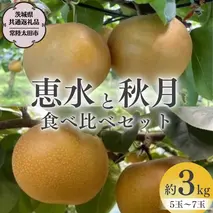【 2025年 先行予約 】 厳選 2種！恵水 と 秋月 の 食べ比べセット 約3kg 5玉～7玉 【 茨城県共通返礼品 ／ 常陸太田市 】 2025年9月中旬発送 桧山果樹園 フルーツ 甘い 直送 茨城 限定 ギフト 梨 旬 贈答 果物 [DU019sa]