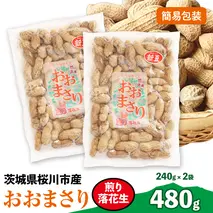 おおまさり 煎り落花生 合計480g (240g×2袋) 【2025年11月上旬から発送開始】 簡易包装 ご自宅用 ピーナッツ 落花生 おつまみ おやつ お菓子 ナッツ [BB013sa]