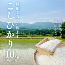 《 令和7年産 先行予約 》棚田で育った極上米 こしひかり 10kg ( 5kg × 2袋 ) 米 お米 白米 コメ ごはん 精米 コシヒカリ 国産 銘柄米 [SC062sa]
