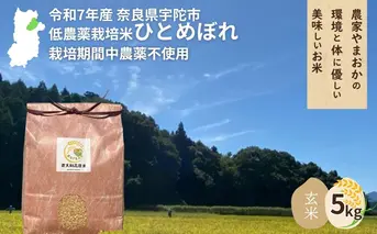 ＜令和7年産・先行予約＞ひとめぼれ 玄米 5kg 9月末より順次発送 ／ ふるさと納税 低農薬 米 お米 こめ コメ 国産 新米 玄米 農家やまおか 奈良県 宇陀市