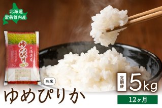 12ヶ月定期便 北海道 留萌管内産ゆめぴりか5kg R004-020