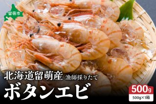 北海道留萌産　漁師採りたてボタンエビ500g