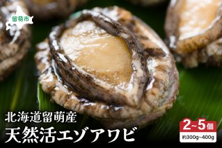 日時指定不可【産地直送】北海道留萌産天然活エゾアワビ300ｇ～400ｇ（ 2～5個入り）