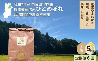 ＜令和7年産・先行予約＞＜毎月定期便6回＞ ひとめぼれ 玄米 5kg 10月頭より順次発送 ／ ふるさと納税 低農薬 米 お米 こめ コメ 国産 新米 玄米  農家やまおか 奈良県 宇陀市