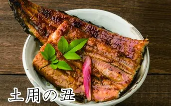 【土用丑の日（二の丑）：2025】予約受付中≪7月31日までにお届け≫田野町産うなぎの蒲焼き 2尾（冷凍）　ウナギ 鰻 かば焼き 国産 無頭 冷凍