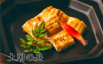 【土用丑の日（二の丑）：2025】予約受付中≪7月31日までにお届け≫田野町産うなぎの白焼き 2尾（冷凍）　ウナギ 鰻 しらやき 国産 無頭 冷凍