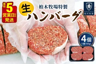 柏木牧場特製 生ハンバーグ 160g×4個 [国産牛100%] ジュワッと肉汁まで美味い！(冷蔵配送)｜国産 ハンバーグ 冷蔵 グルメ ギフト お惣菜 惣菜 [0354]