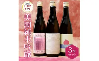 美潮 純米吟醸3本セット 高知県 芸西村 返礼品 日本酒 お酒 仙頭酒造 ふるさと納税限定 720ml 飲み比べセット のみくらべ 雄町 きたしずく お祝い 贈答品 箱入り ギフト