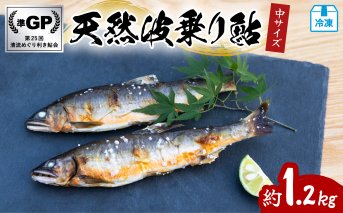 天然波乗り鮎 約1.2kg 中サイズ 16～20cm 16～24尾 鮎 天然 約1.2kg あゆ アユ 天然鮎 清流 海部川 川魚 冷凍