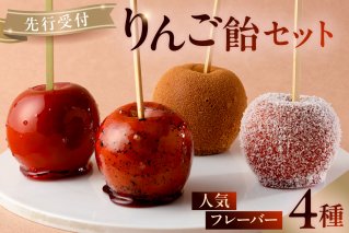 【先行受付】AERIりんご飴セット：人気フレーバー４種　りんご りんご飴 人気 フルーツ フレーバー プレーン 紅茶 シナモン ココナッツ スイーツ【0112-005】