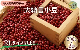 ＜11月中旬以降の発送予定です＞宇陀大納言小豆300g×2袋（2Lサイズ以上） ／ ふるさと納税 小豆 国産 あずき 大納言 あんこ 奈良県 宇陀市 あかひと農園