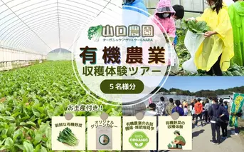 有機農業 収穫体験 ツアー お土産付 5名様迄／ 農家 有機野菜 オーガニック 無農薬 SDGs 関西 チケット カレー 山口農園 奈良県 宇陀市 ふるさと納税