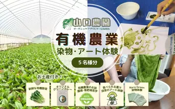 有機農業 染物 アート 体験 お土産付 5名様迄／ 畑見学 食べられる染料 Nara Green 抹菜 農家 有機野菜 オーガニック 無農薬 SDGs 関西 チケット カレー 山口農園 奈良県 宇陀市 ふるさと納税