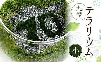 丸型テラリウム（小）