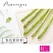 【先行受付 令和8年3月より発送】朝採りアスパラ定期便1kg×4回 【アスパラ アスパラガス グリーンアスパラガス モデル バーベキュー BBQ こだわり 採れたて 野菜 】(H013108)