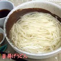 さっとできてさっと食べられる ささっとうどん 10入 【うどん 乾麺 佐賀県産 簡単】(H014139)