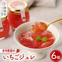 いちごジュレ6個セット 【佐賀県産 夏におすすめ シャーベット ひんやりスイーツ】(H017110)