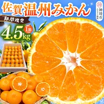 【令和7年11月下旬より発送】佐賀温州みかん(1箱 4.5kg)【フルーツ 佐賀 佐賀県産 早生みかん 温州みかん ギフト 贈答 プレゼント】 (H072107)