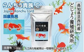 KGC001　らんちう貴族C 120g 当歳魚用