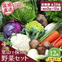 年間定期便24回 里山で採れた野菜セットレギュラー 12品 【有機野菜 おまかせ野菜セット イタリア野菜 西洋野菜 定期便】(H078140)