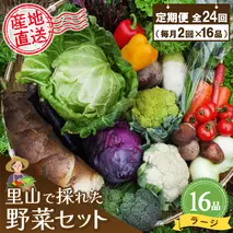 年間定期便24回 里山で採れた野菜セットラージ 16品 【有機野菜 おまかせ野菜セット イタリア野菜 西洋野菜 定期便】(H078111)