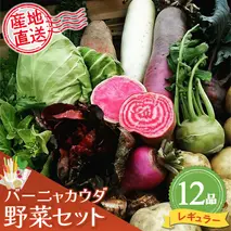 バーニャカウダ野菜セットレギュラー 12品 【有機野菜 おまかせ野菜セット イタリア野菜 西洋野菜】(H078117)