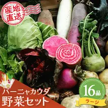 バーニャカウダ野菜セットラージ 16品 【有機野菜 おまかせ野菜セット イタリア野菜 西洋野菜】(H078121)