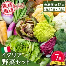 年間定期便12回 イタリア野菜セットショート 7品 【有機野菜 おまかせ野菜セット イタリア野菜 西洋野菜 定期便】(H078146)
