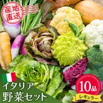 イタリア野菜セットレギュラー 10品 【有機野菜 おまかせ野菜セット イタリア野菜 西洋野菜】(H078148)