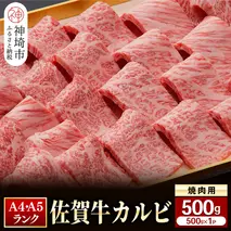 【佐賀牛】カルビ焼肉用500g 【グルメ プレゼント ギフト 肉 牛肉 ブランド牛 国産 和牛】(H081107)