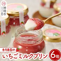 いちごミルクプリン6個セット【佐賀県産 さがほのか シャーベット プリン県  冷凍 果肉ソース】 (H017113)