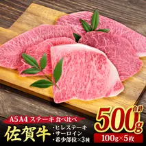 佐賀牛 ステーキ5種食べ比べセット 500g （100g×5枚） A5 A4 サーロイン ヒレ 希少部位【希少 国産和牛 牛肉 肉 牛 ステーキ】(H085194)