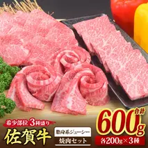 佐賀牛 希少部位 焼肉3点盛り合わせ【脂身系ジューシー】 600g （200gx3種） A5 A4【希少 国産和牛 牛肉 肉 牛 焼肉】(H085142)