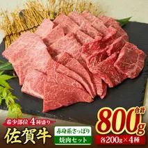 佐賀牛 希少部位 焼肉4点盛り合わせ【赤身系さっぱり】 800g （200gx4種） A5 A4【希少 国産和牛 牛肉 肉 牛 焼肉】(H085143)