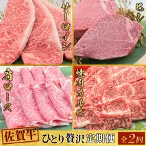 【2回定期便】 佐賀牛 ひとりで贅沢 お楽しみ便 （合計1.15kg）(H085148)