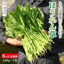 【定期便6回】ほうれん草 約1kg（150g x 7袋）【合計 約6kg】(H091120)