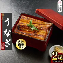【職人手焼き】国産特大うなぎ蒲焼2尾（1尾あたり約170g前後）【国産 特大 うなぎ 鰻 ウナギ ふっくら 柔らか 鰻重 きざみ鰻 うなぎのせいろ蒸 タレ付 弁当】(H097113)