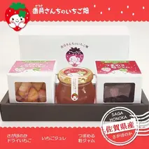 ひめかちゃんのキューブセット 【いちご イチゴ 苺 さがほのか ドライフルーツ 佐賀県産 プチギフト 凍らせてシャーベット】(H017114)