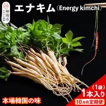【10カ月定期便】【一子相伝】秘伝のエナキム(高麗人参スプラウト・キムチ)1袋1本入り【本場の味 秘伝の味 韓国 ピリ辛 健康志向 滋養強壮】(H104145)